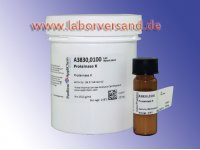 Proteinase K  »   » CP40